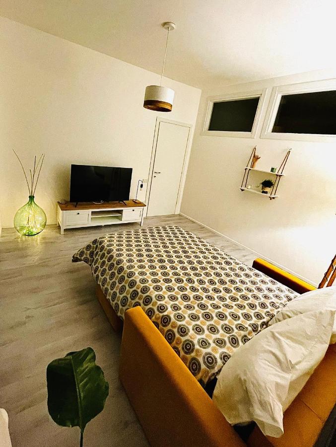 The Mule Apartment มาเตรา ภายนอก รูปภาพ